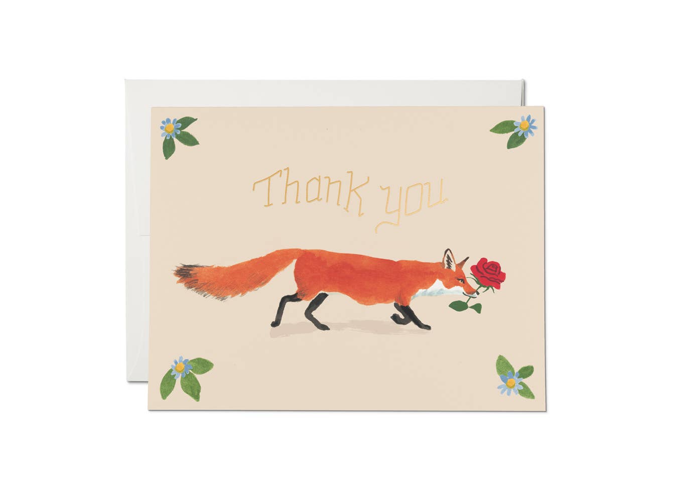 Thanks Fox thank you greeting card: Singles
