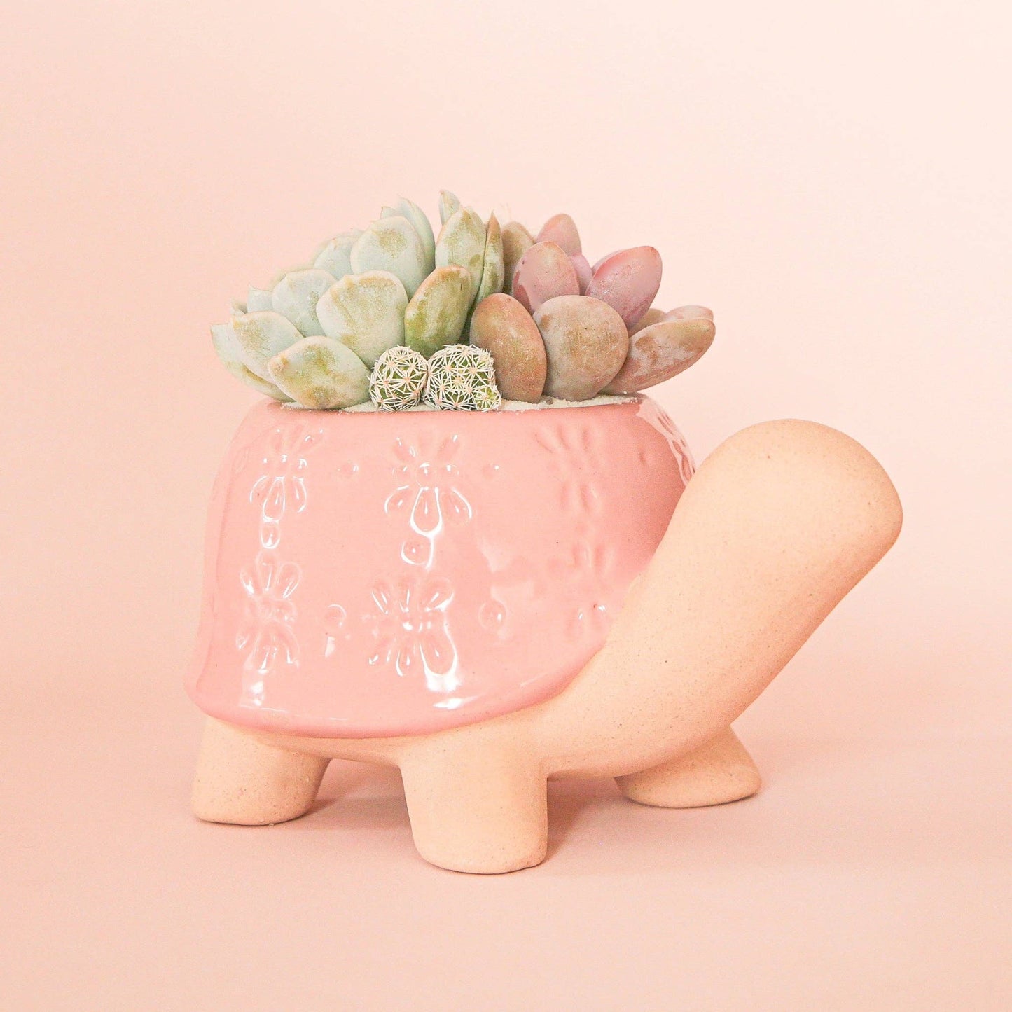 Pink Turtle Plant Pot