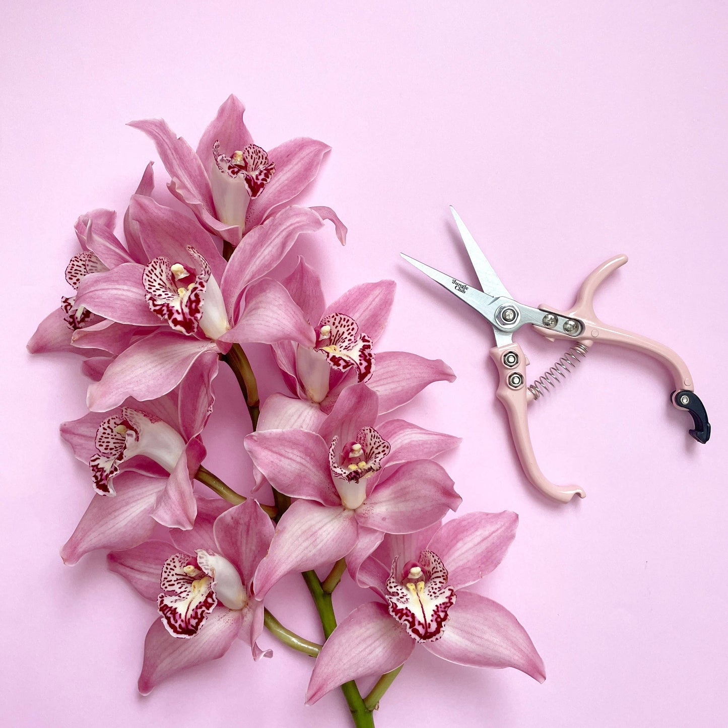 Pruning Shears - Pink