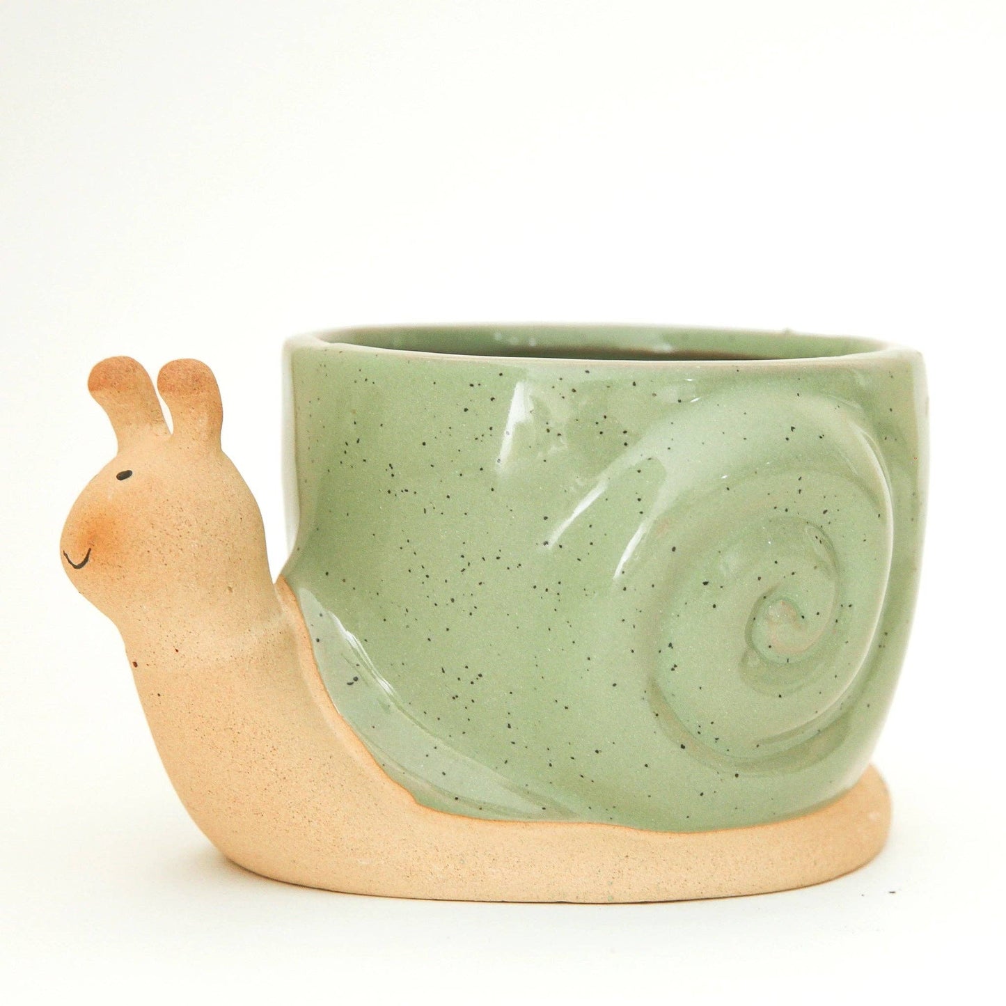 Mint Snail Plant Pot
