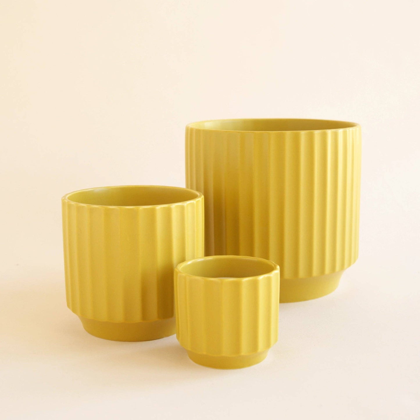 Jungle Club - Monroe Pot - Palm 4.5"