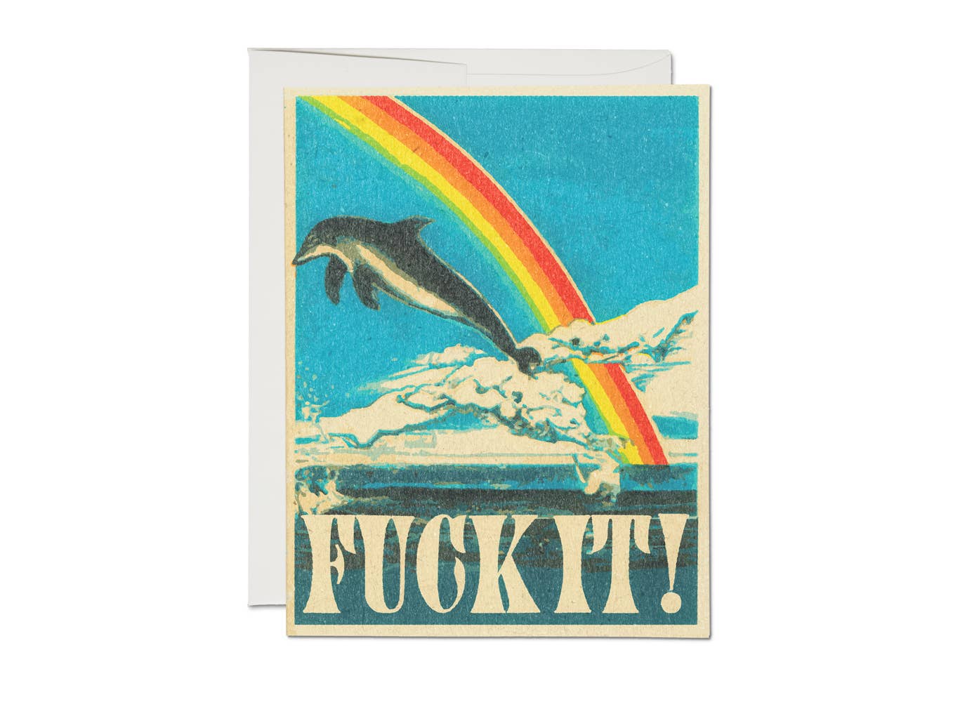 Dolphin Card