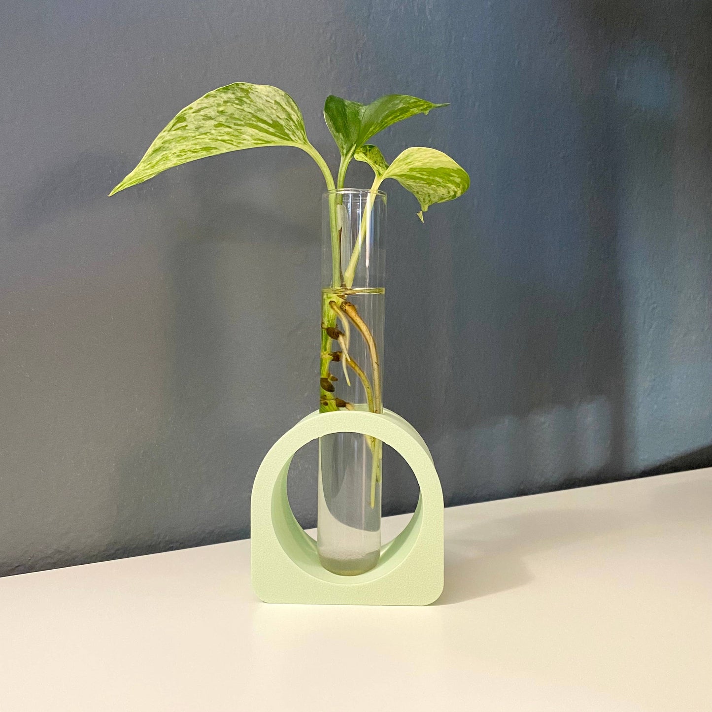 Matcha Circle Propagation Stand