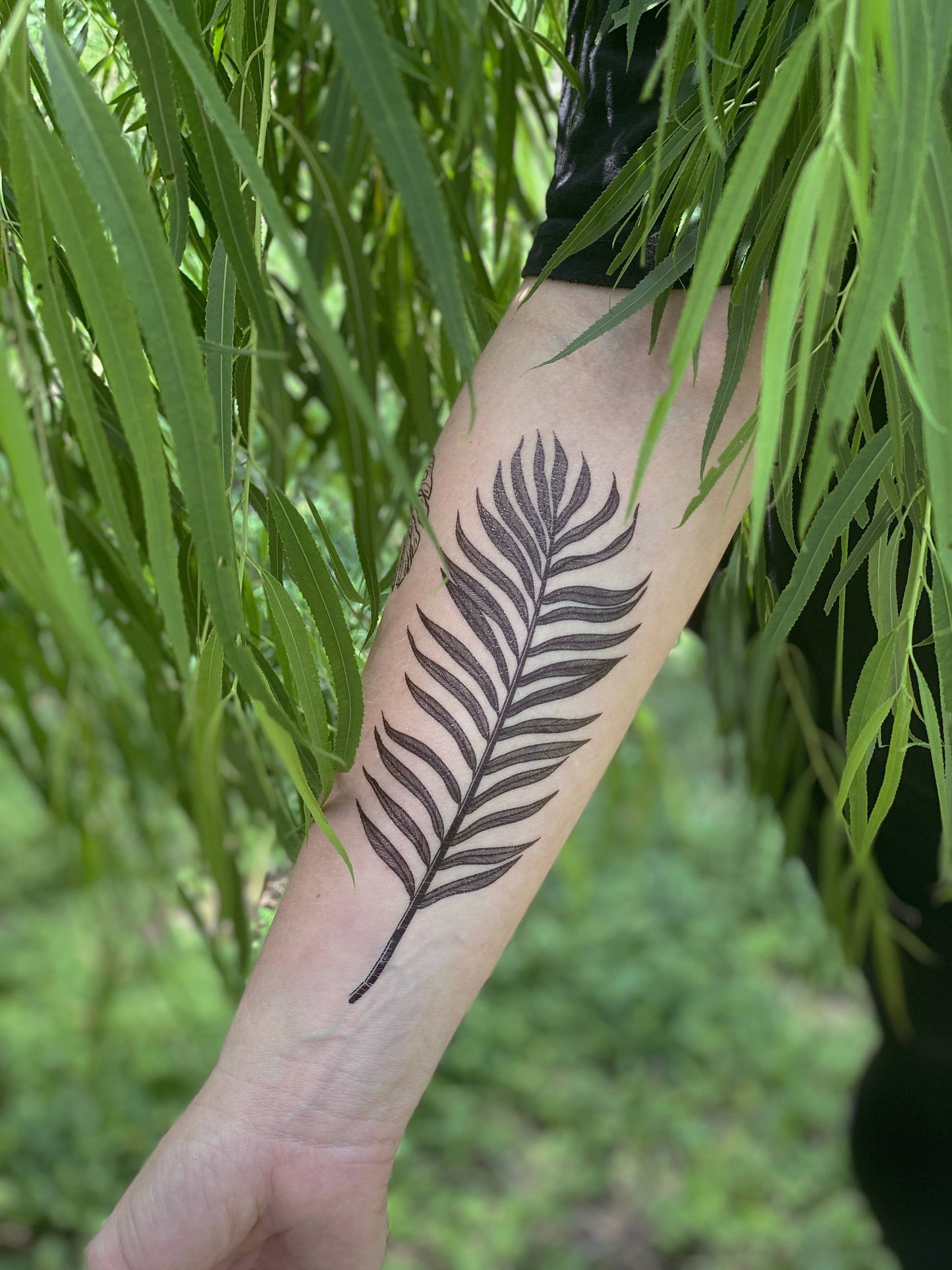 Palm Leaf Temporary Tattoo: 1-Pack