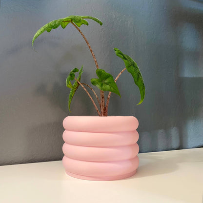 Plant Voyage - 3D Printed 3" Bubble Pot! Indoor Planter, Plant Accessories: Minty Matcha