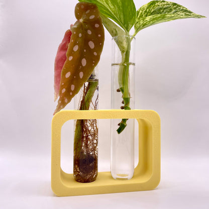 Plant Voyage - 3D Printed Dual Propagation Station, Plant Accessory: Minty Matcha