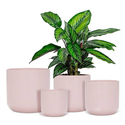 Classic Planter - Pink 5"