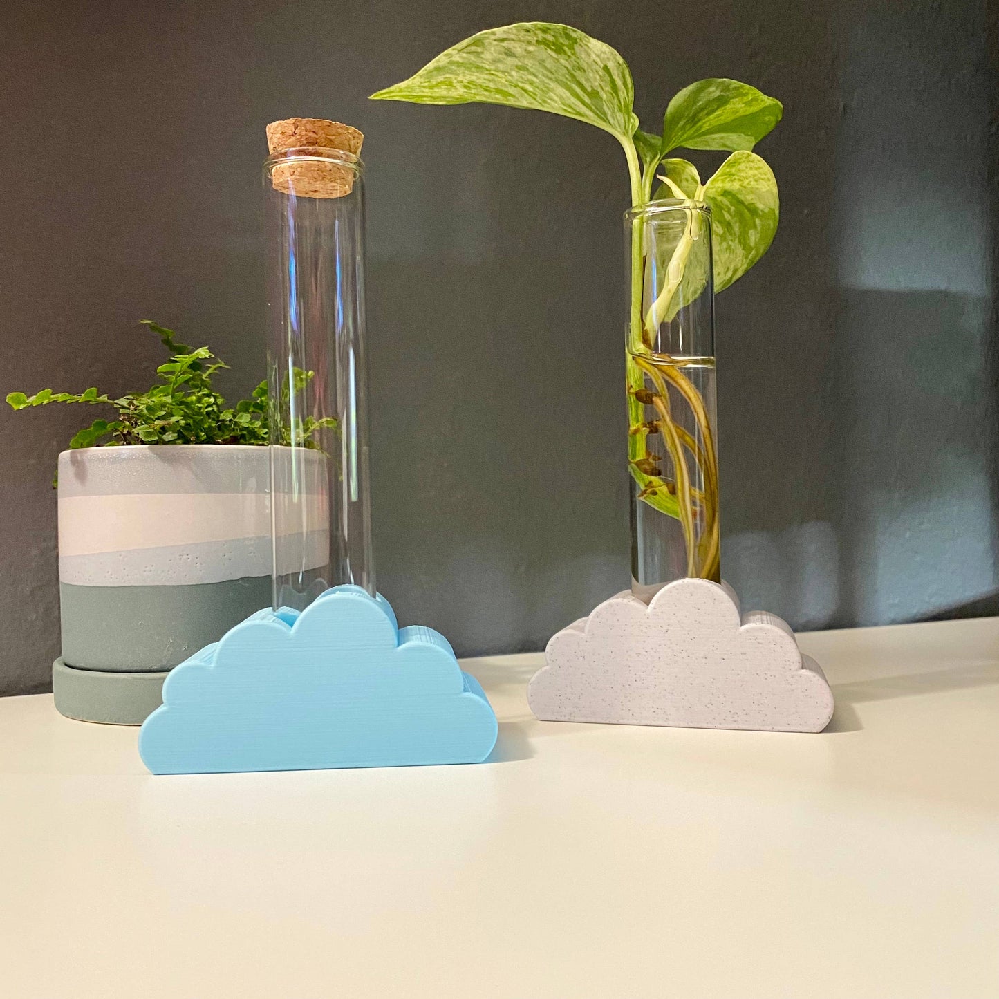 Plant Voyage - 3D Printed Cloud Propagation Stand, Plant Propagation Stand: Bella Blue