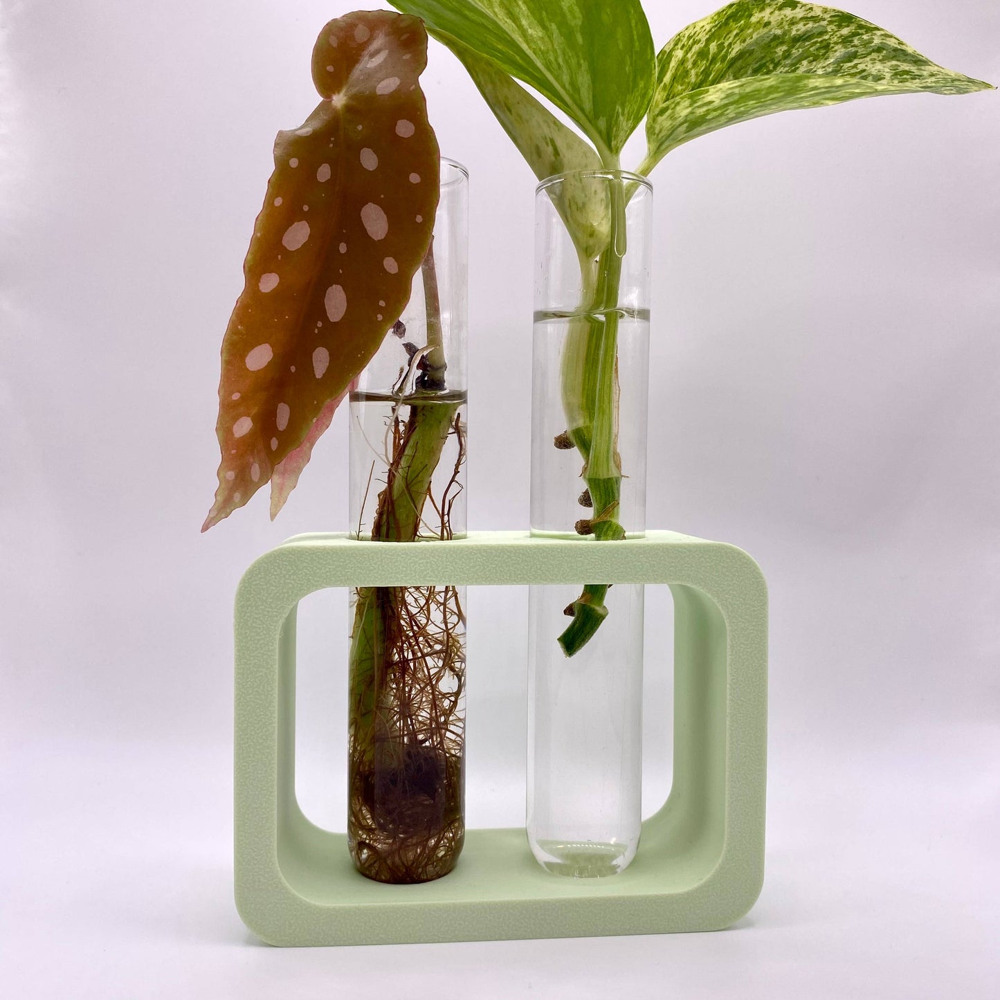 Plant Voyage - 3D Printed Dual Propagation Station, Plant Accessory: Minty Matcha