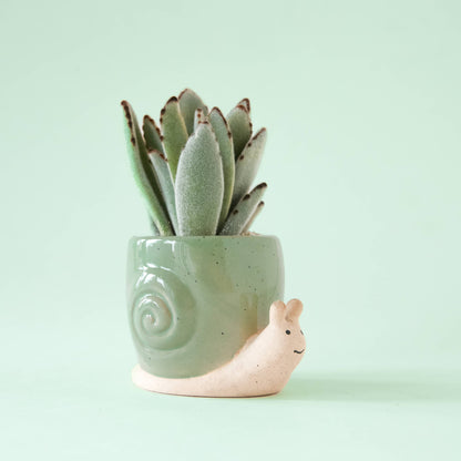 Mint Snail Plant Pot